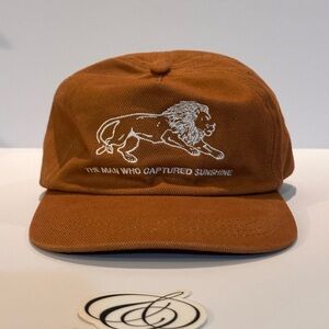 The Man Who Captured Sunshine Lion Hat Brown Brown Snapback Urban Outfitters